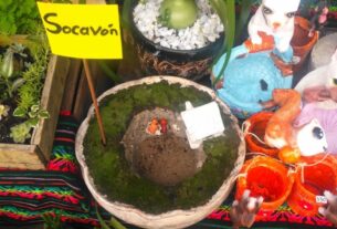 Socavon de Puebla ya es souvenir; venden réplica en maceta