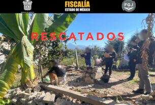 Dos perros víctimas de maltrato animal fueron rescatados en Valle de Bravo, generando conciencia sobre la protección animal.