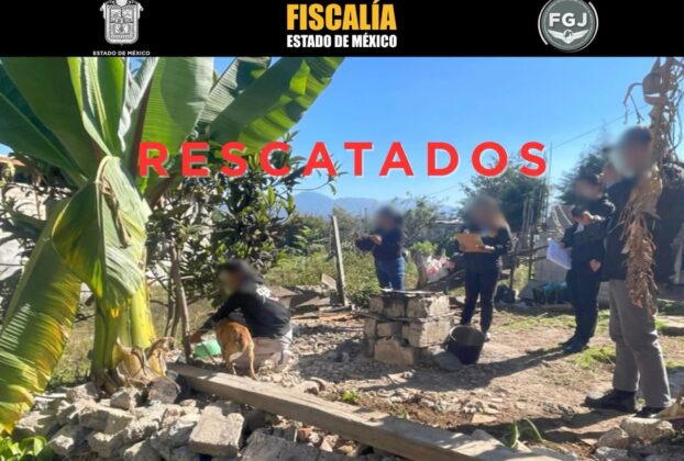 Dos perros víctimas de maltrato animal fueron rescatados en Valle de Bravo, generando conciencia sobre la protección animal.