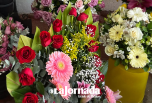 El Estado de México destaca como el principal productor de flores ornamentales del país, con una gran variedad de especies.