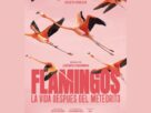 El documental Flamingos, narrado por Julieta Venegas, se estrena en cines el 26 de marzo, coincide con el Día Mundial de la Naturaleza.