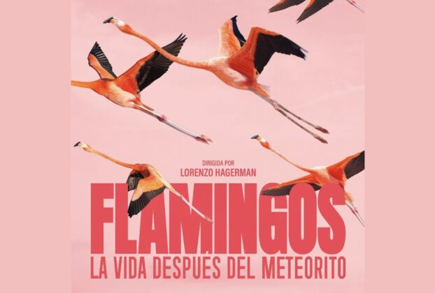 El documental Flamingos, narrado por Julieta Venegas, se estrena en cines el 26 de marzo, coincide con el Día Mundial de la Naturaleza.