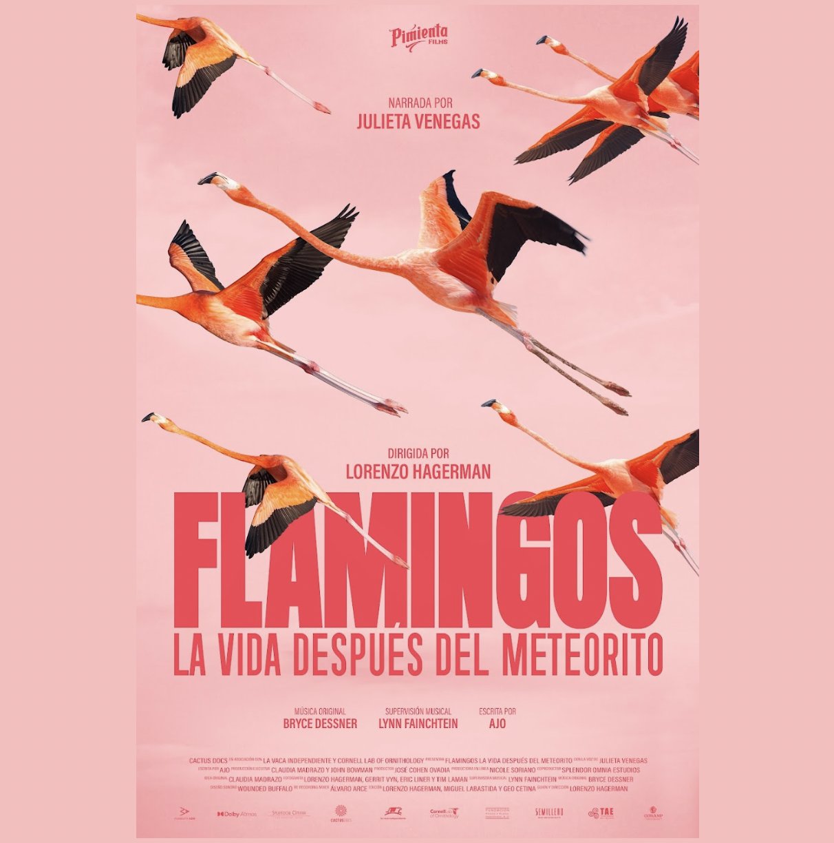 El documental Flamingos, narrado por Julieta Venegas, se estrena en cines el 26 de marzo, coincide con el Día Mundial de la Naturaleza.
