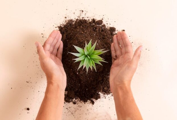 FUNO implementa proyectos de regeneración de ecosistemas, reduciendo significativamente su huella de carbono hacia 2030.