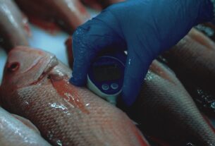 Descubre cómo Santomar garantiza la seguridad de sus productos marinos en el Día Mundial de la Inocuidad de los Alimentos.