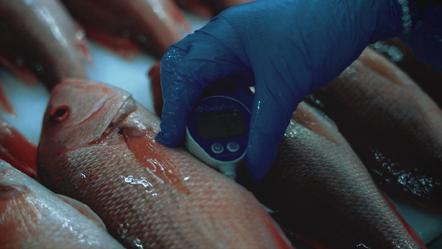 Descubre cómo Santomar garantiza la seguridad de sus productos marinos en el Día Mundial de la Inocuidad de los Alimentos.