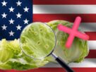 Las autoridades estadounidenses han exonerado a las lechugas mexicanas de Taylor Farms de cualquier presencia de Cyclospora.