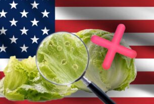 Las autoridades estadounidenses han exonerado a las lechugas mexicanas de Taylor Farms de cualquier presencia de Cyclospora.