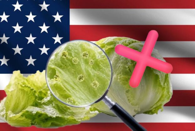Las autoridades estadounidenses han exonerado a las lechugas mexicanas de Taylor Farms de cualquier presencia de Cyclospora.