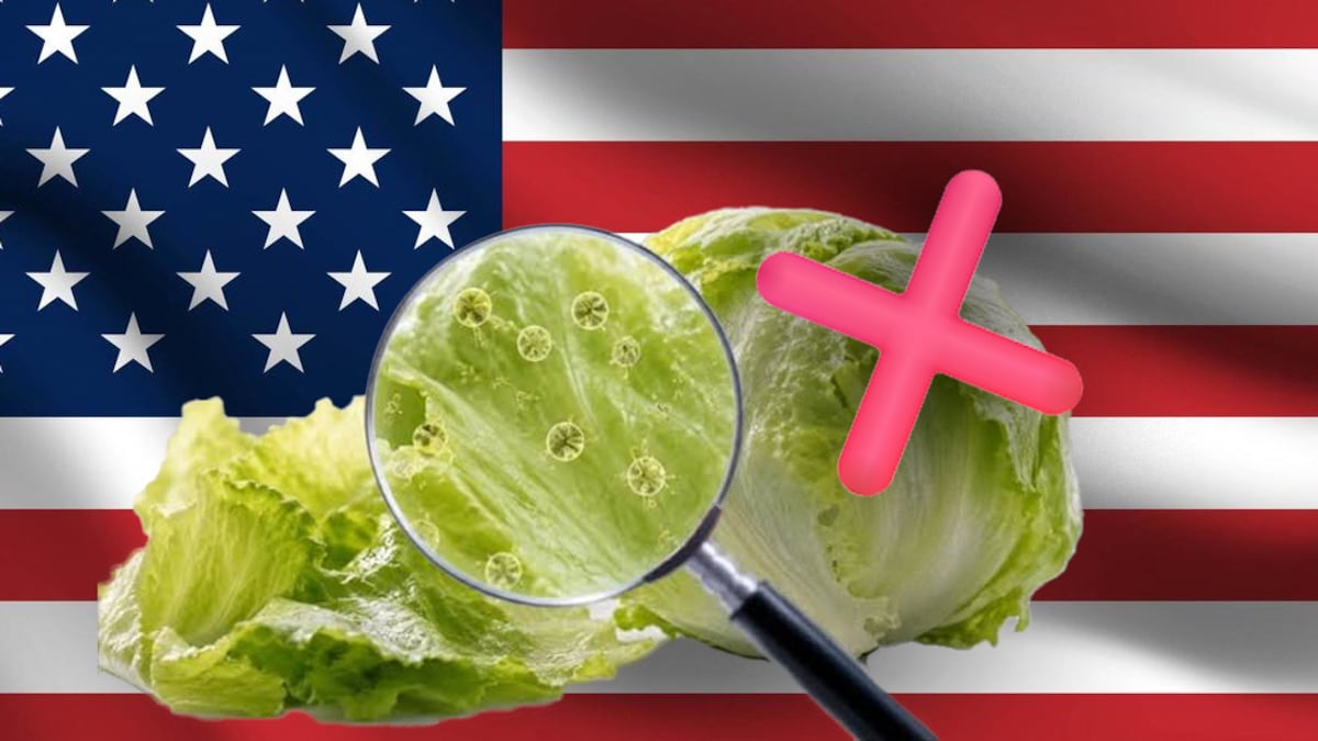 Las autoridades estadounidenses han exonerado a las lechugas mexicanas de Taylor Farms de cualquier presencia de Cyclospora.