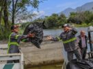 La reciente retirada de lirio acuático promete revitalizar la Presa La Boca y su biodiversidad. Descubre más.